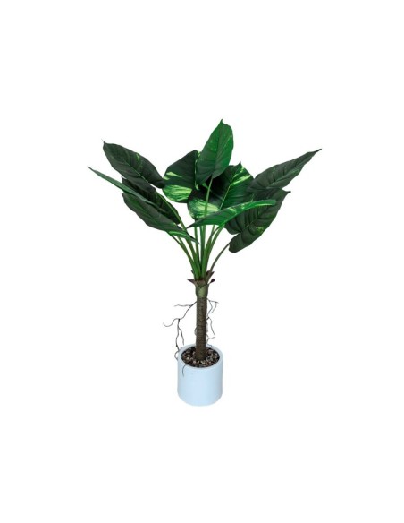 PLANTA POTUS C/ MACETA LUX X 10 - 100 CM