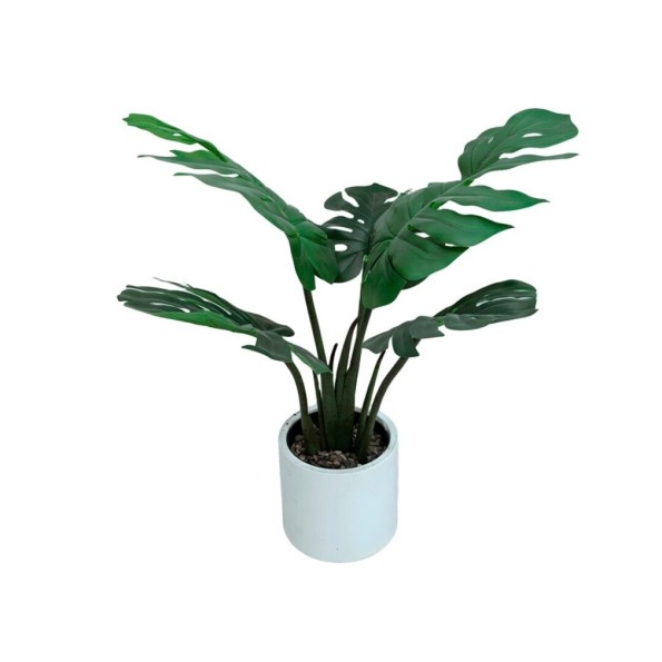 PLANTA MONSTERA C/ MACETA LUX X 5 -60 CM