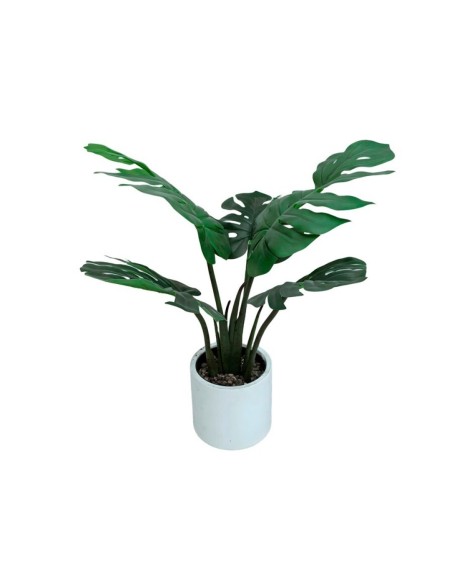 PLANTA MONSTERA C/ MACETA LUX X 5 -60 CM