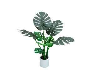 PLANTA MONSTERA C/ MACETA LUX X 8 -90 CM