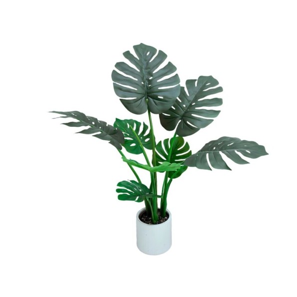 PLANTA MONSTERA C/ MACETA LUX X 8 -90 CM