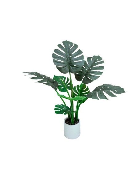 PLANTA MONSTERA C/ MACETA LUX X 8 -90 CM
