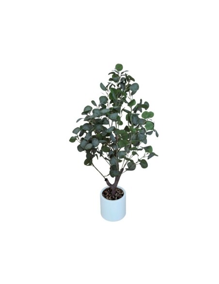PLANTA EUCALYPTO C/ MACETA LUX - 90 CM