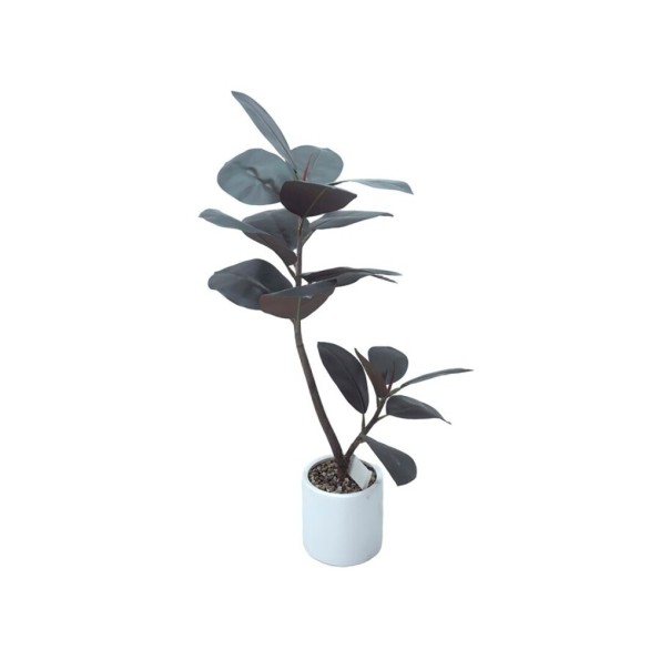 PLANTA FICUS ELASTICA M/LUX X 18- 90 CM