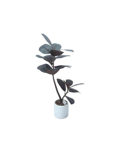 PLANTA FICUS ELASTICA M/LUX X 18- 90 CM