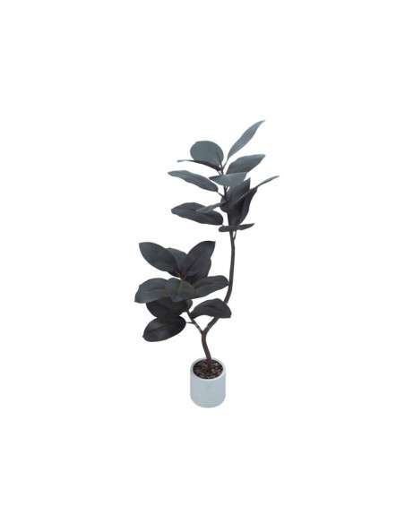 PLANTA FICUS ELASTICA M/LUX X 24- 130 CM