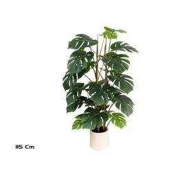 PLANTA MONSTERA M/LUX X 28 - 115 CM