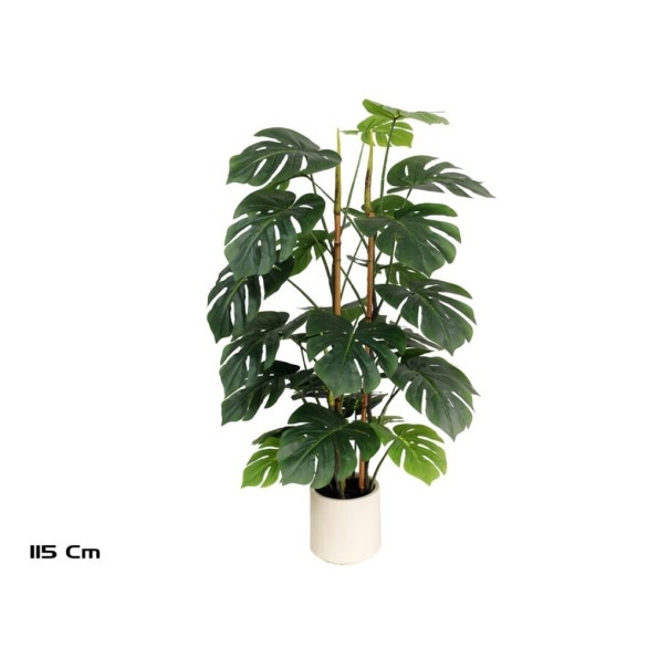 PLANTA MONSTERA M/LUX X 28 - 115 CM