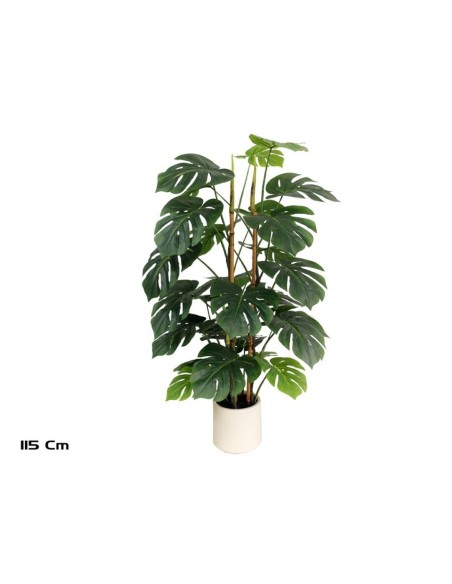 PLANTA MONSTERA M/LUX X 28 - 115 CM