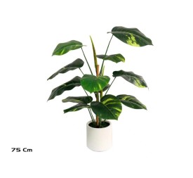 PLANTA POTUS M/LUX X 12 - 75 CM