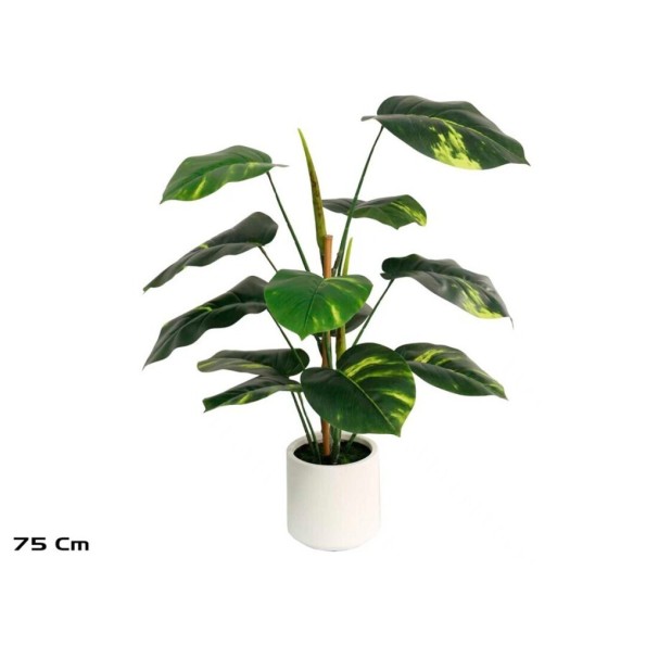 PLANTA POTUS M/LUX X 12 - 75 CM
