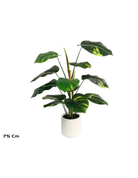PLANTA POTUS M/LUX X 12 - 75 CM