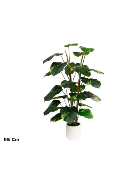 PLANTA POTUS M/LUX X 28 - 115 CM