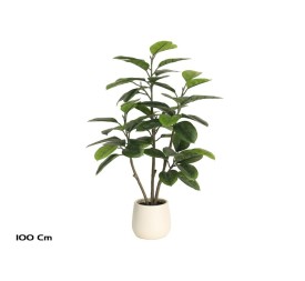 PLANTA FICUS ELASTICA M/LUX X 52 -100 CM