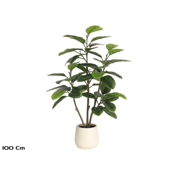 PLANTA FICUS ELASTICA M/LUX X 52 -100 CM