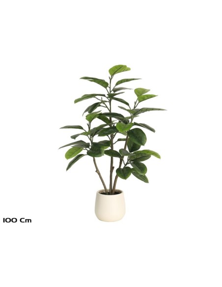 PLANTA FICUS ELASTICA M/LUX X 52 -100 CM