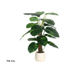 PLANTA POTUS X 18 M/LUX T/ COCO 75CM