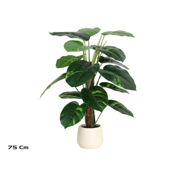 PLANTA POTUS X 18 M/LUX T/ COCO 75CM