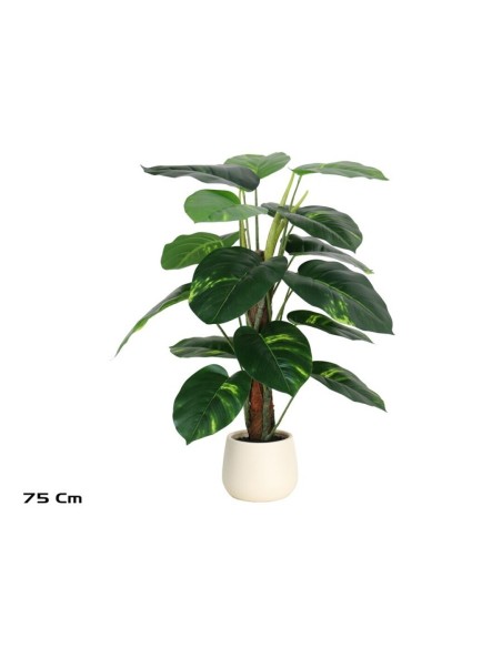 PLANTA POTUS X 18 M/LUX T/ COCO 75CM