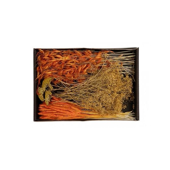 DRIED FLOWERS MIX TRAY 38X26X5CM