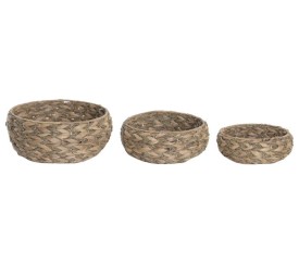 CENTRO MESA SET 3 JACINTO DE AGUA 37X37X15