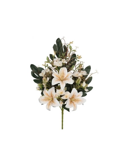 CONJUNTO LILIUM WILD (A) X 10-58 CM (CR)