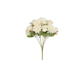 RAMO DALIA-CAPULLOS (A) X 9-43 CM (CR)