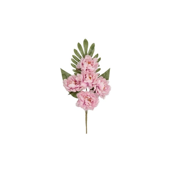 CONJUNTO PEONIA OPEN (A) X 5-52 CM (MV)