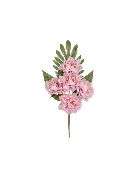 CONJUNTO PEONIA OPEN (A) X 5-52 CM (MV)
