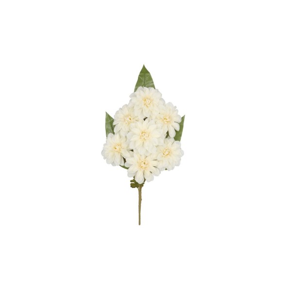 CONJUNTO DALIAS (A) X 7 - 50 CM (CREMA)
