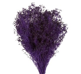 BROOMS PRESS 50 cms. MORADO (88)