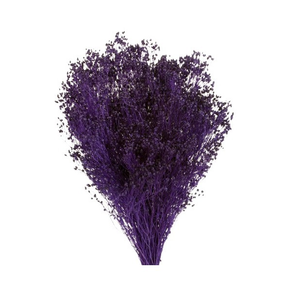 BROOMS PRESS 50 cms. MORADO (88)