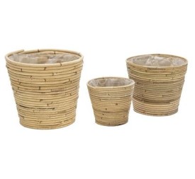COLIN PLANTER NATURAL S3 D16/26H15/21