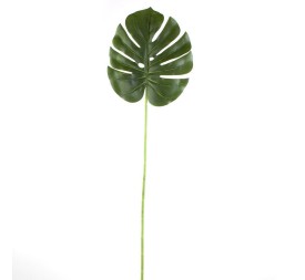 HOJA PHILODENDRON T. NATURAL (18,5X21CM) [H246000]