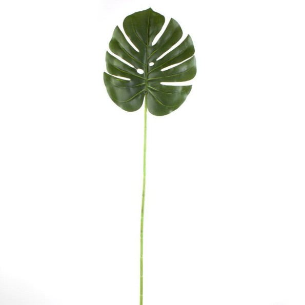 HOJA PHILODENDRON T. NATURAL (18,5X21CM) [H246000]