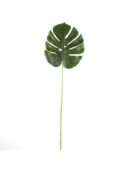 HOJA PHILODENDRON T. NATURAL (18,5X21CM) [H246000]