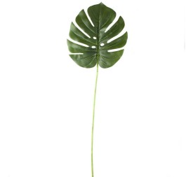 HOJA PHILODENDRON T. NATURAL  (22,5X25CM) [H246001]