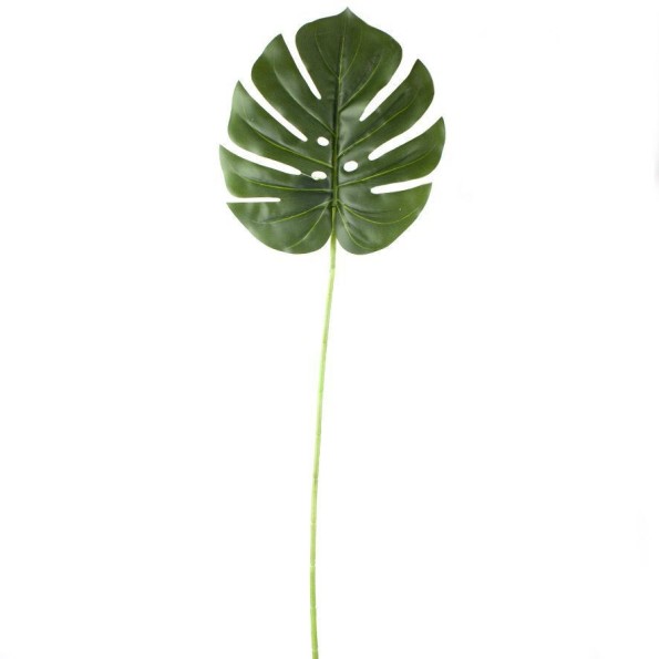 HOJA PHILODENDRON T. NATURAL  (22,5X25CM) [H246001]
