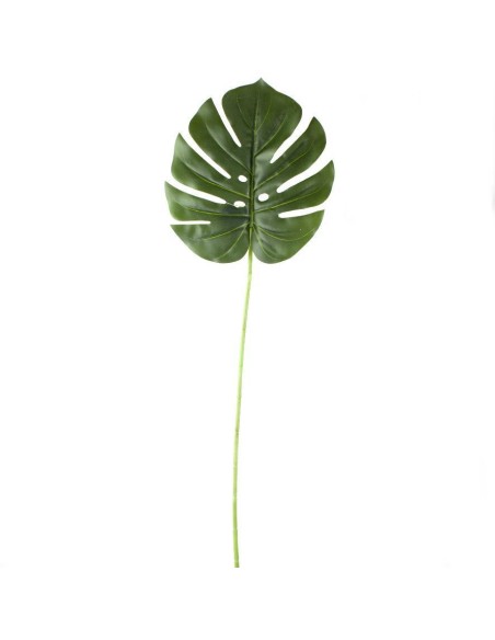 HOJA PHILODENDRON T. NATURAL  (22,5X25CM) [H246001]