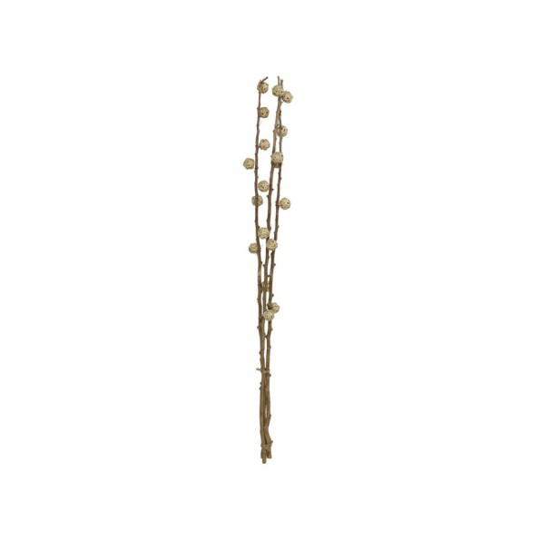 VARA 130CM RUPERTHY