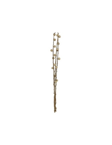 VARA 130CM RUPERTHY