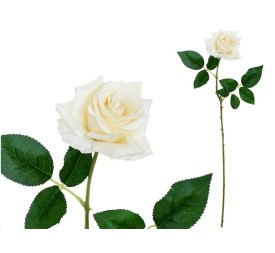 VARA ROSITA CLASIC (S)- 64CM (BEIG)