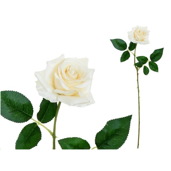 VARA ROSITA CLASIC (S)- 64CM (BEIG)
