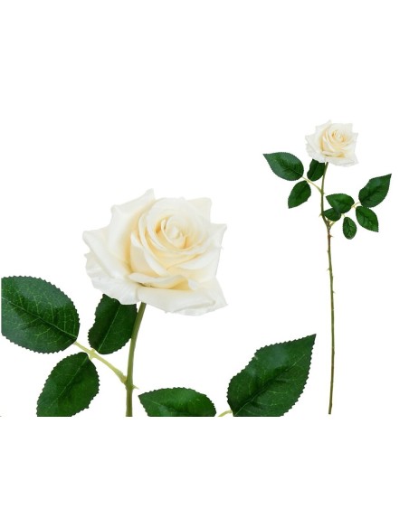 VARA ROSITA CLASIC (S)- 64CM (BEIG)