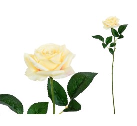 VARA ROSITA CLASIC (S)- 64CM (CREMA)