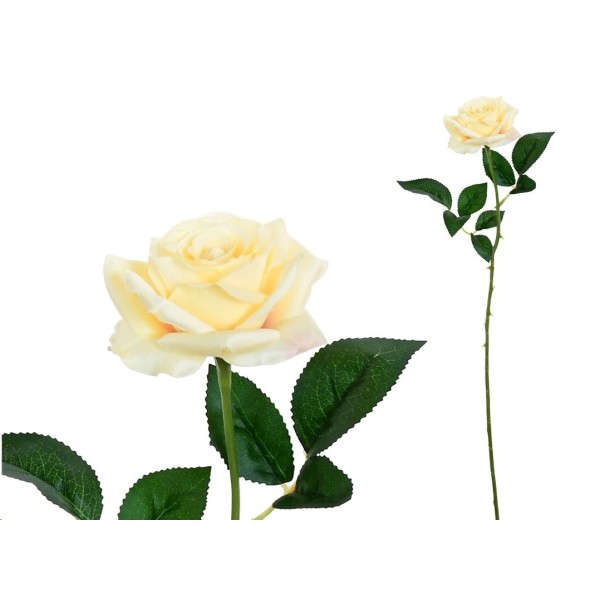 VARA ROSITA CLASIC (S)- 64CM (CREMA)