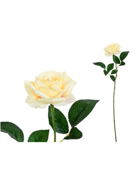 VARA ROSITA CLASIC (S)- 64CM (CREMA)