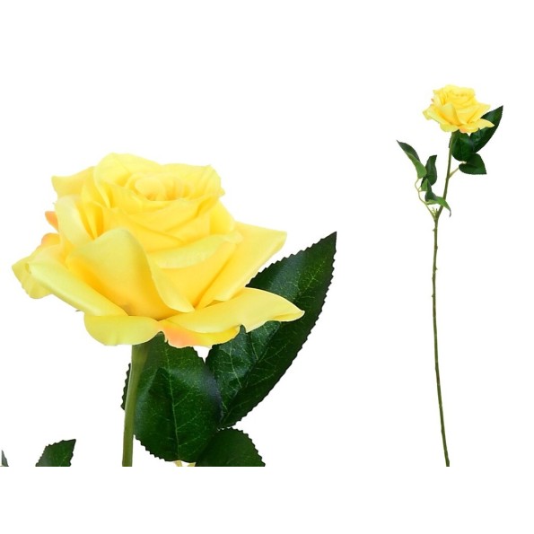 VARA ROSITA CLASIC (S)- 64CM (AMARILLO)
