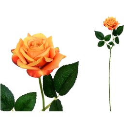 VARA ROSITA CLASIC (S)- 64CM (TE)
