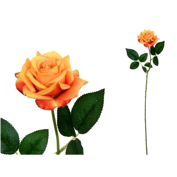VARA ROSITA CLASIC (S)- 64CM (TE)